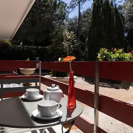 Maminotte 라테스트드뷔크