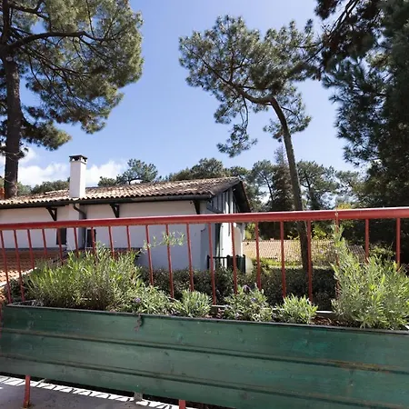 Maminotte 4* 라테스트드뷔크