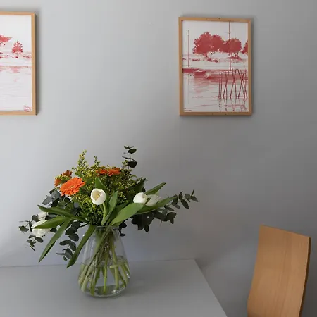 Maminotte 4* 라테스트드뷔크