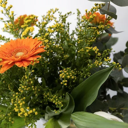 아파트호텔 Maminotte 4*