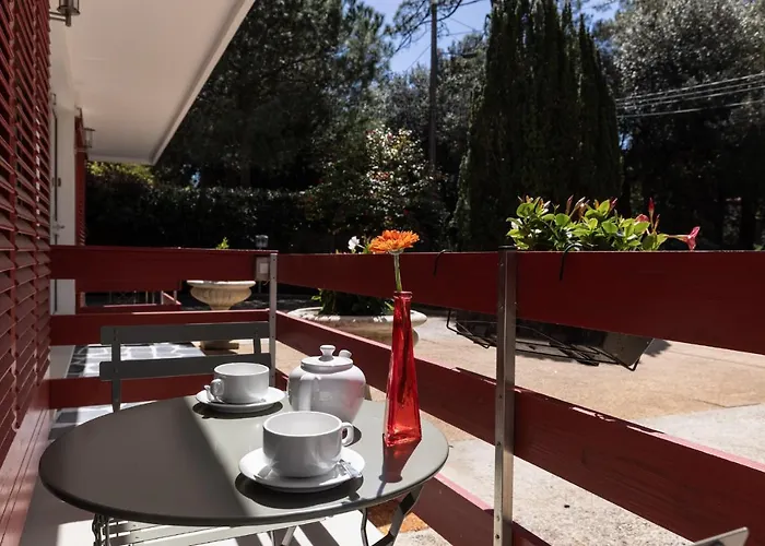 Maminotte La Teste-de-Buch